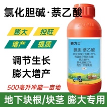 21%氯化胆碱萘乙酸可溶液剂膨大剂马铃薯山药大蒜地下膨大