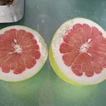 琯溪蜜柚0.5