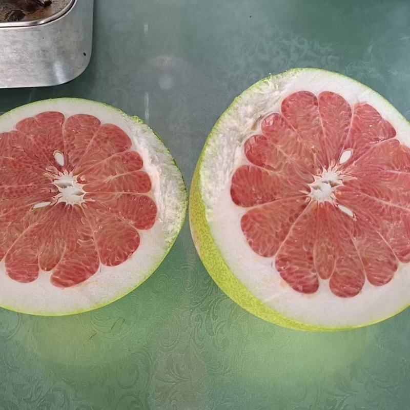 琯溪蜜柚0.5