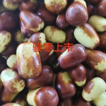 鲜骏枣