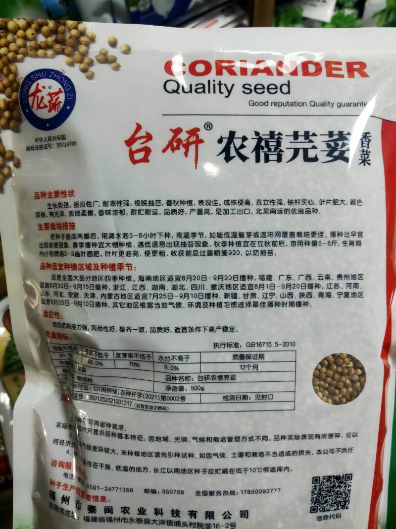 铁杆香菜种子农户大田大叶芫荽种籽四季食用大叶香菜种子