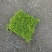 地被草金莎蔓方盘40x40，基地有量，价优，欢迎订购。