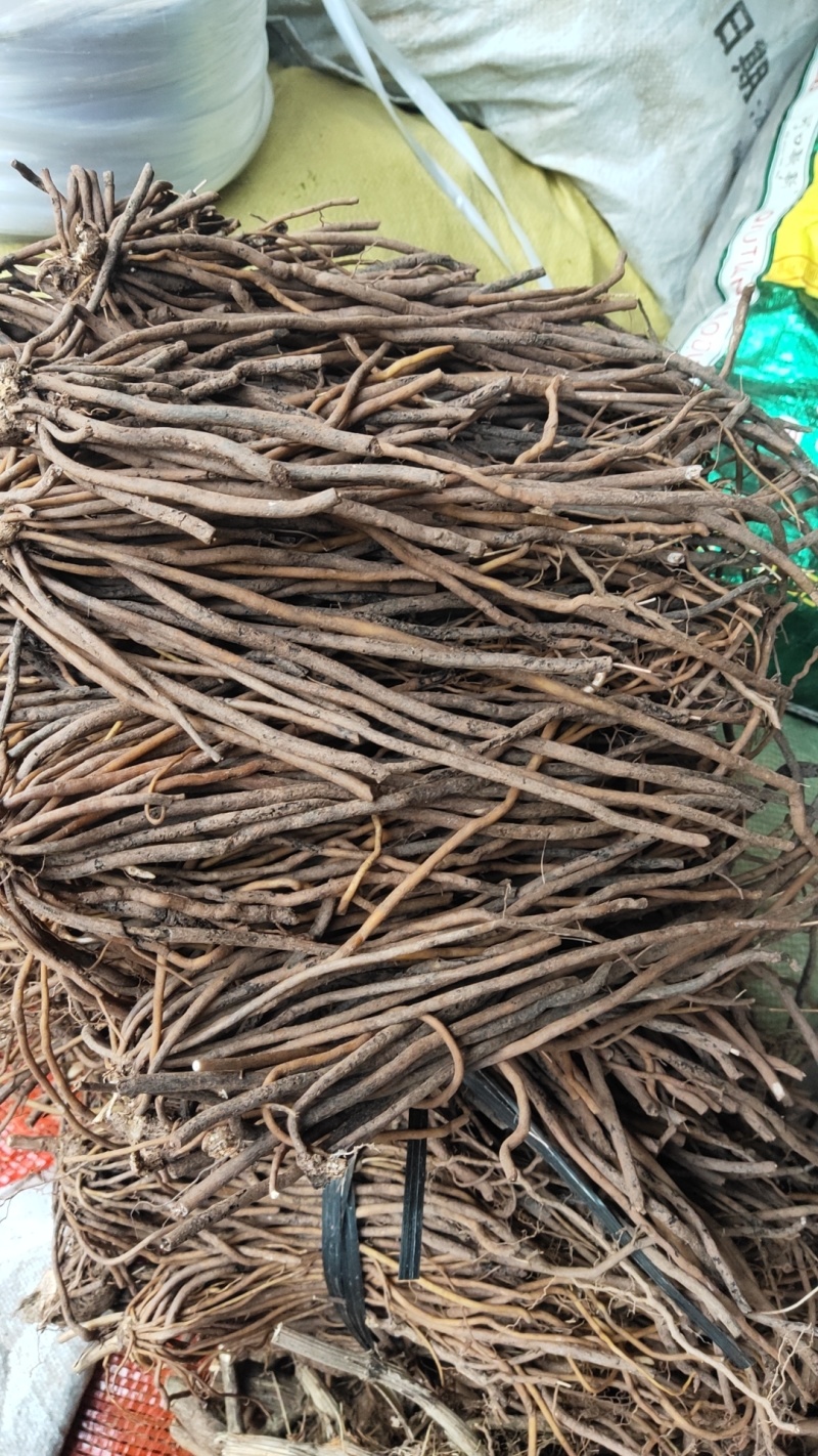 威灵仙