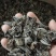 精品东北黑木耳口感好，味道纯正可视频看货
