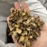 赤芍山赤芍京赤勺赤芍片正品内蒙干货无硫磺
