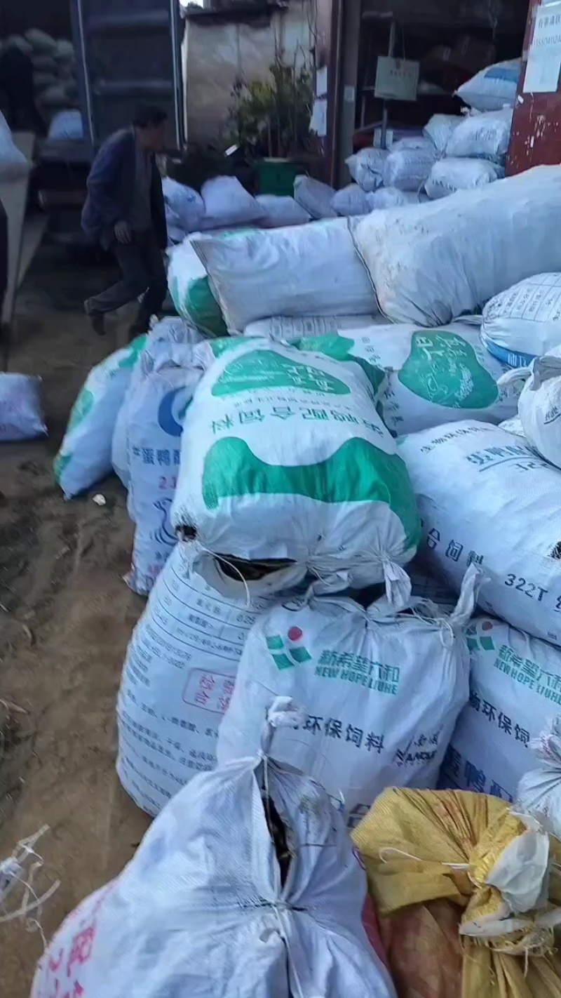 产地当归直发品质保障24小时在线购买新鲜送达