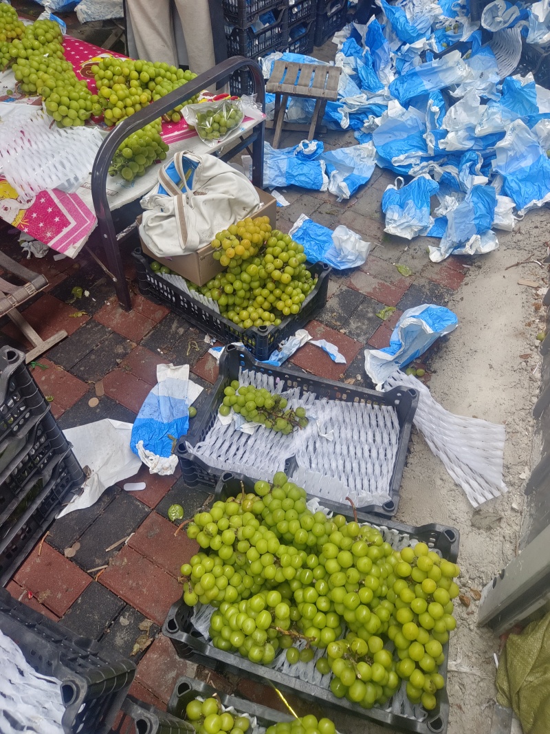 阳光玫瑰榨汁果加工果需要的老板赶紧联系