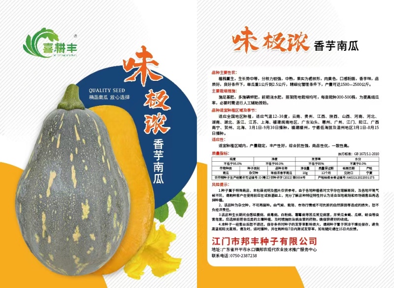 香芋南瓜，贝贝密本种子！发芽率高达98%以上，欢迎选购！