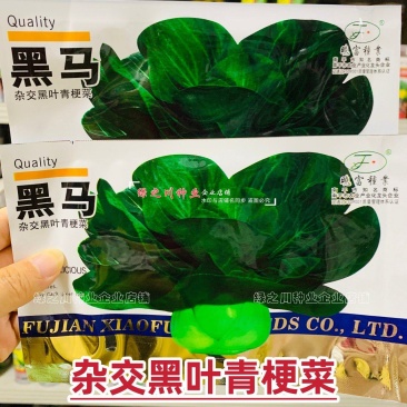 晓富黑马青梗菜种子黑叶油亮苏州青种子大头束腰甜嫩好吃