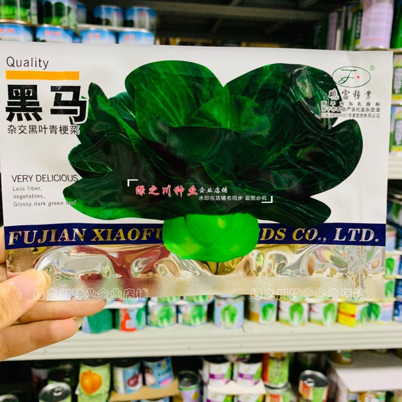 晓富黑马青梗菜种子黑叶油亮苏州青种子大头束腰甜嫩好吃