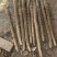 优质麻山药大货质量好/价格低/对接批发市场/欢迎咨询