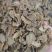 铁皮石斛叶子茶一斤装正品石斛枫斗叶茶清补更方便