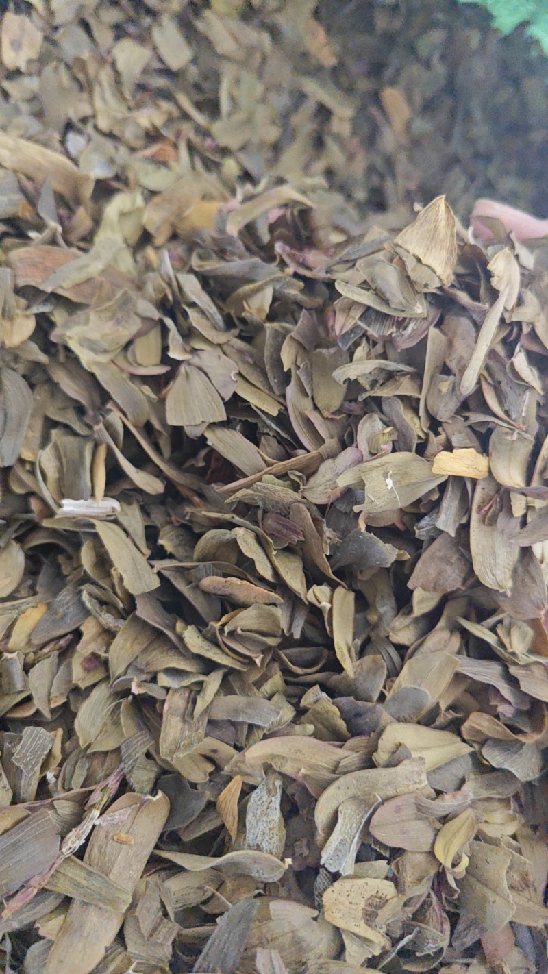 铁皮石斛叶子茶一斤装正品石斛枫斗叶茶清补更方便