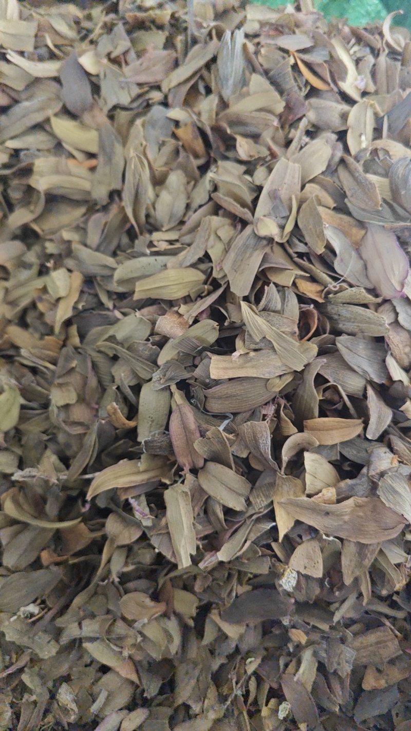 铁皮石斛叶子茶一斤装正品石斛枫斗叶茶清补更方便