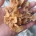 代收沙耳羊肚耳二级货羊肚耳预定沙耳羊肚耳一般羊肚耳沙耳