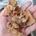 代收沙耳羊肚耳二级货羊肚耳预定沙耳羊肚耳一般羊肚耳沙耳