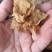 代收沙耳羊肚耳二级货羊肚耳预定沙耳羊肚耳一般羊肚耳沙耳