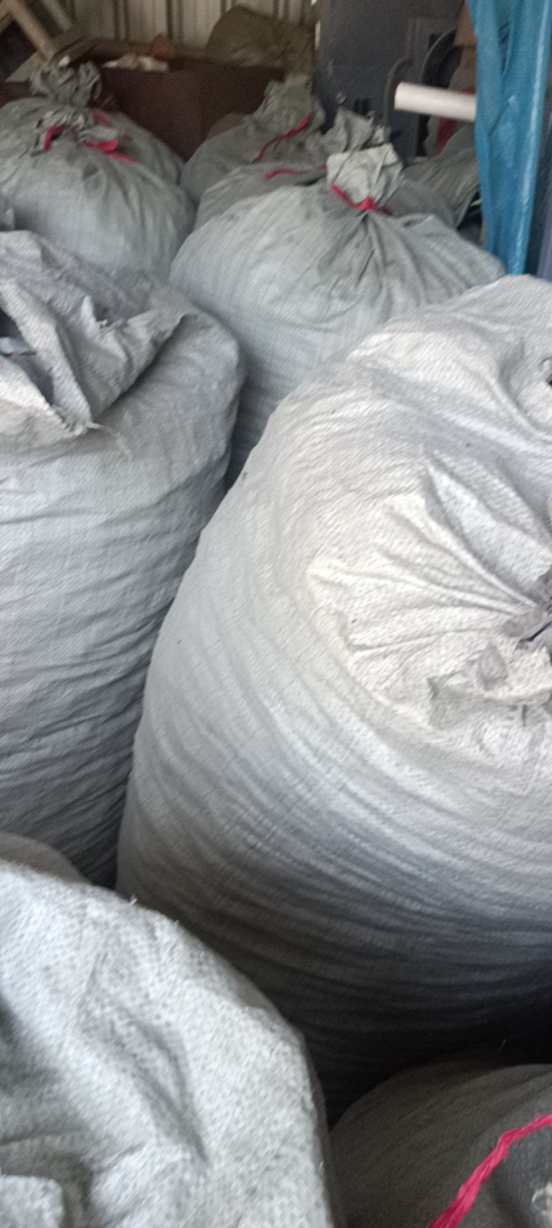 代收沙耳羊肚耳二级货羊肚耳预定沙耳羊肚耳一般羊肚耳沙耳