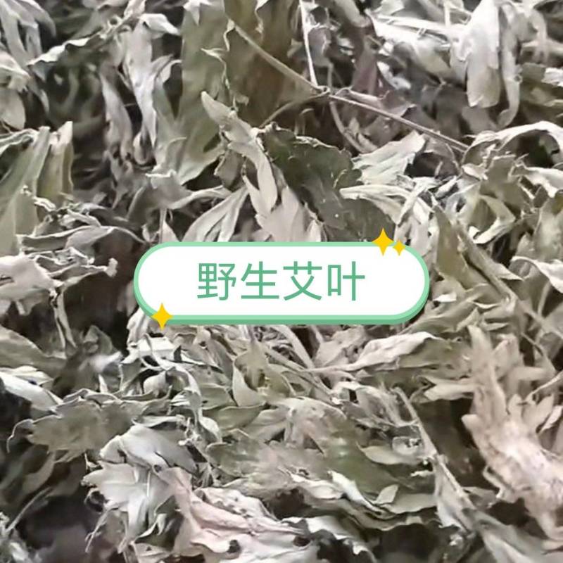 野生艾叶