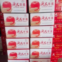 苹果