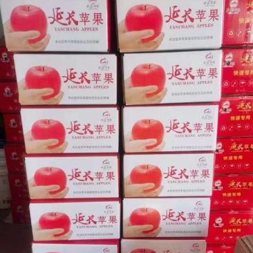 苹果
