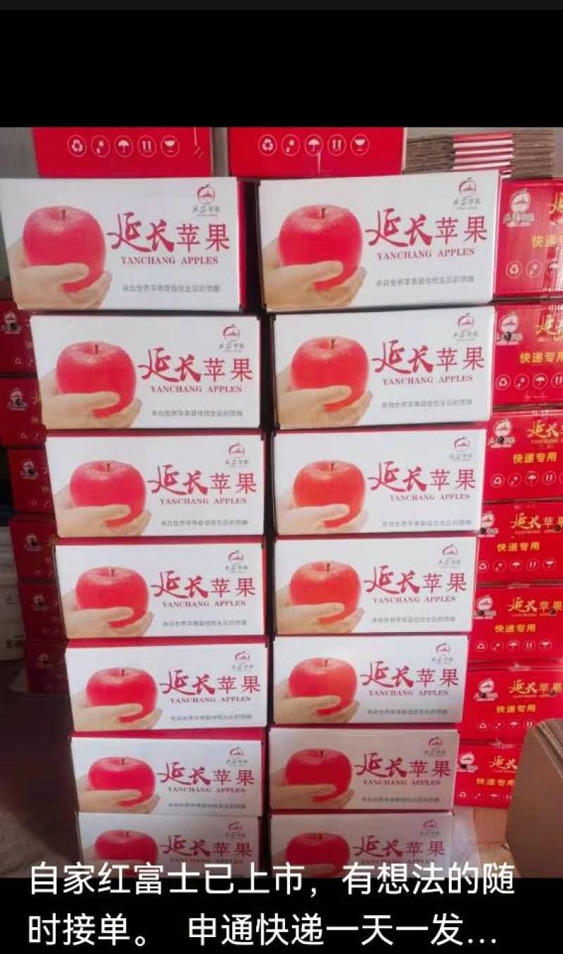 苹果