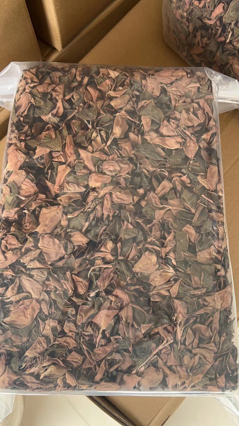 福建南靖产地直销金线莲整株干品