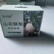 山农酥梨