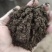 大量纯发酵羊粪厂家直发