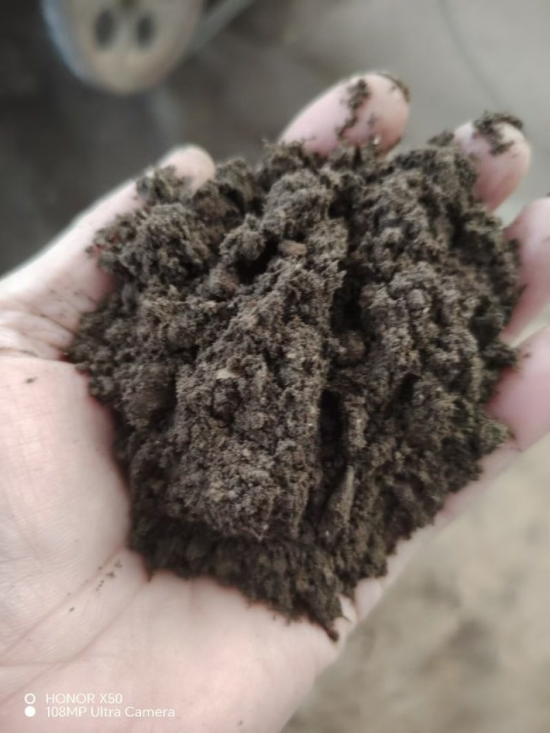 大量纯发酵羊粪厂家直发