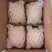 山农酥梨