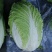 黄心白菜