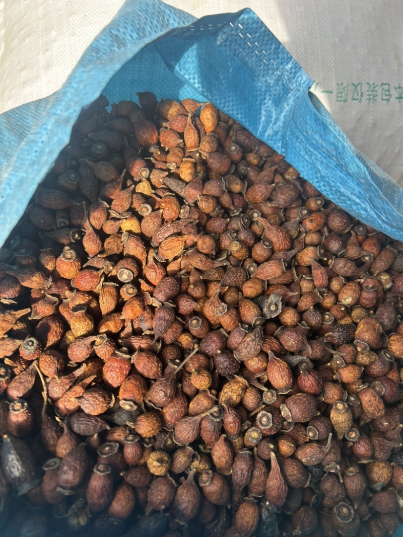 金樱子野生金樱子干货果肉无硫新货后期果产地批发