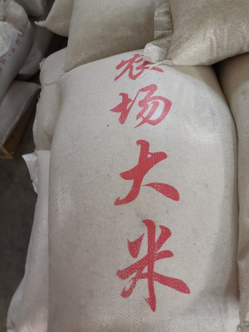 新米粳米抛光新米食品级碎米烤酒煮粥用好米抛光无杂质无黄
