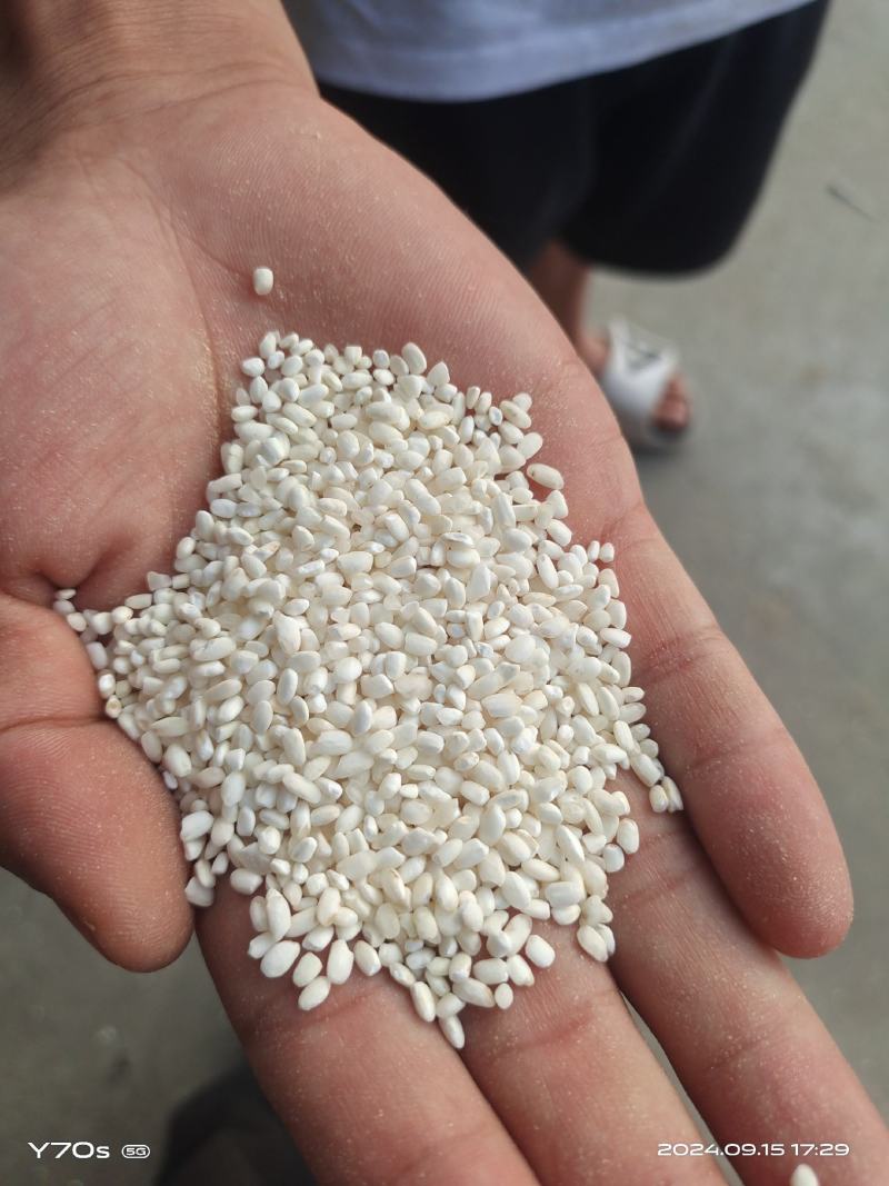 新米粳米抛光新米食品级碎米烤酒煮粥用好米抛光无杂质无黄