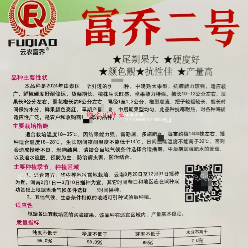 尾期果大富乔二号大果朝天椒种子青红两用朝天辣椒种子新品种