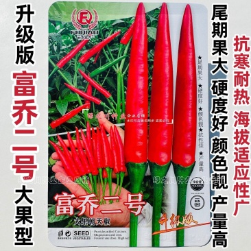 尾期果大富乔二号大果朝天椒种子青红两用朝天辣椒种子新品种