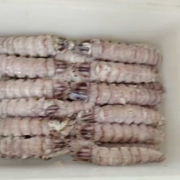 皮皮虾爬虾纯手工剥制无添加量大从优