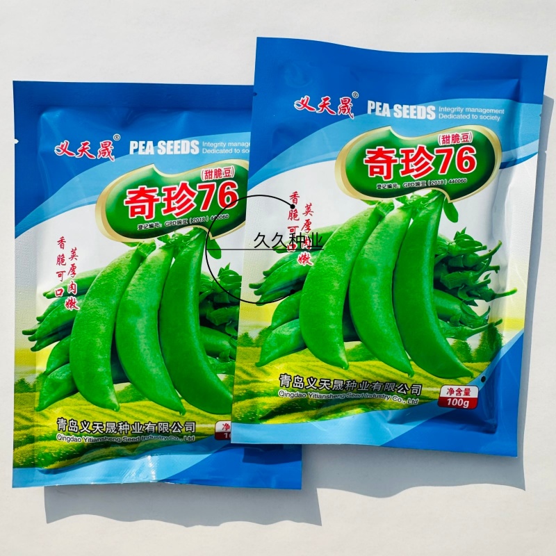 奇珍76甜脆豆种子甜豌豆种籽豌豆尖大粒春秋季播