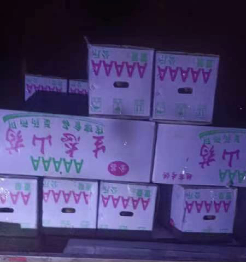 广西山药上市，大量开挖，粉糯香，条型好看，毛色也好看