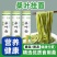 （包邮）桑叶面条糖人主食荞早餐麦杂粮胖友低脂桑叶挂面整箱