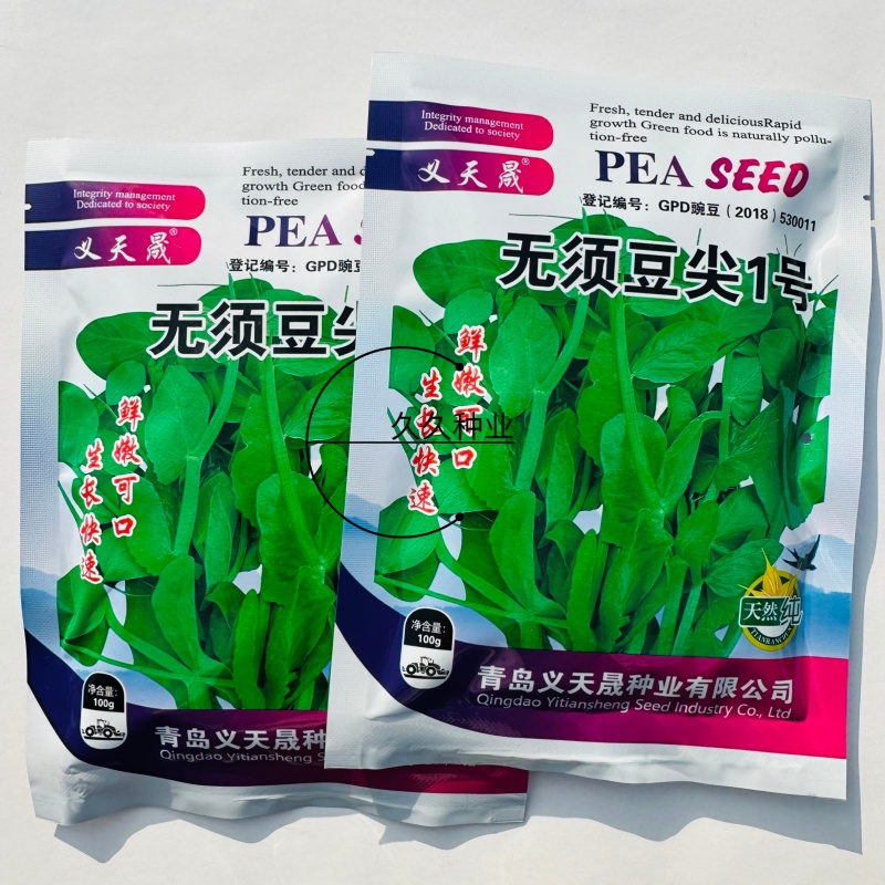 无须豌豆尖1号种籽豌豆苗种子四季蔬菜孑碗豆芽苗菜碗豆苗种