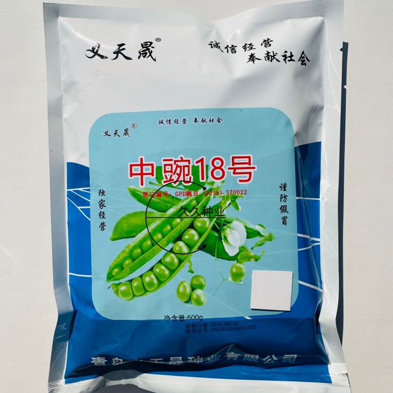 中豌18号豌豆种子中早熟矮杆高产甜脆青碗豆耐寒春秋冬季