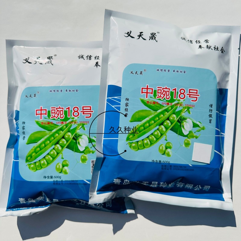 中豌18号豌豆种子中早熟矮杆高产甜脆青碗豆耐寒春秋冬季