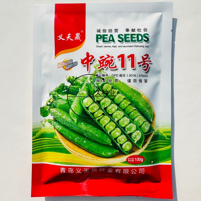中豌11号豌豆种子优质早熟高产抗病商品性佳农家秋季