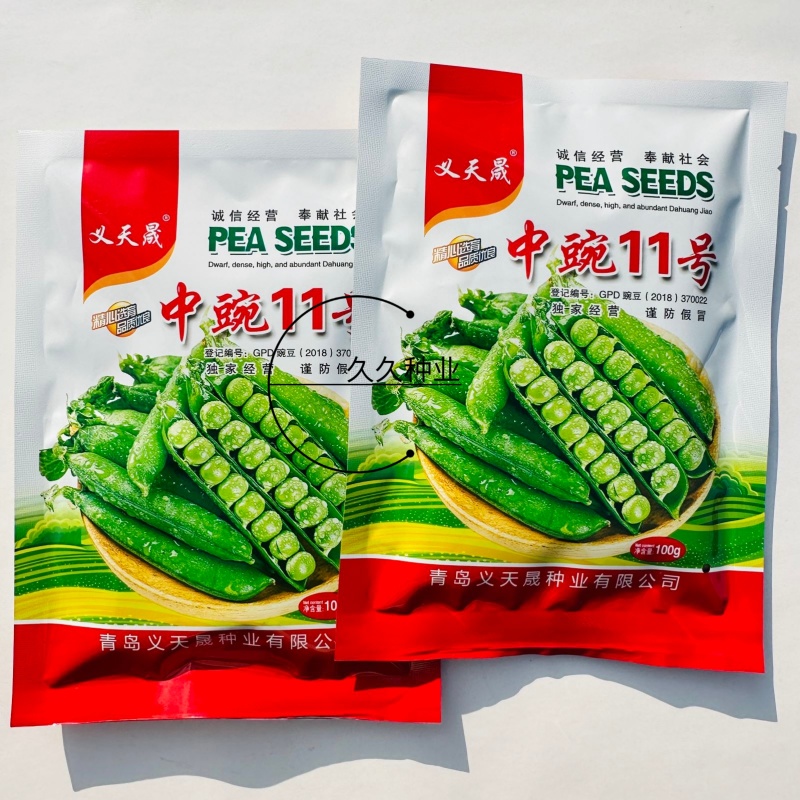 中豌11号豌豆种子优质早熟高产抗病商品性佳农家秋季