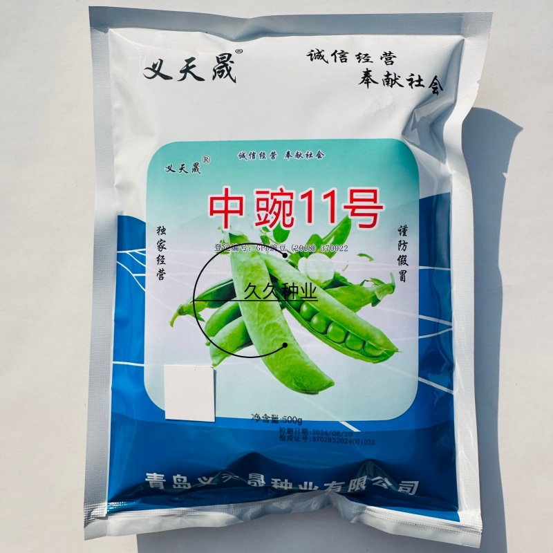 中豌11号豌豆种子白花绿荚味甜抗白粉病大荚矮生不搭架