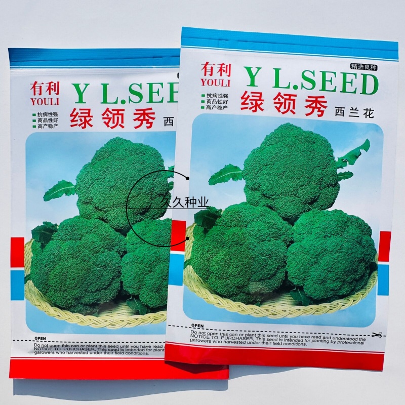 绿领秀西兰花种子耐湿耐寒花椰菜种籽颜色鲜绿花蕾中细西蓝花