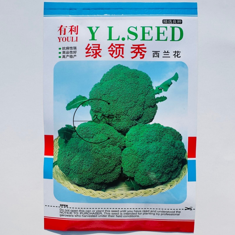 绿领秀西兰花种子耐湿耐寒花椰菜种籽颜色鲜绿花蕾中细西蓝花