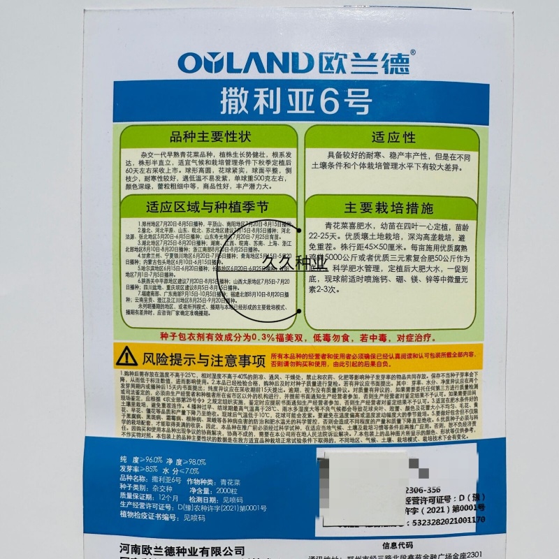撒利亚6号西兰花种子早熟耐寒西兰花种子抗病秋季种植西兰花